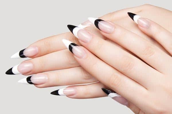 Pointed Black Tips